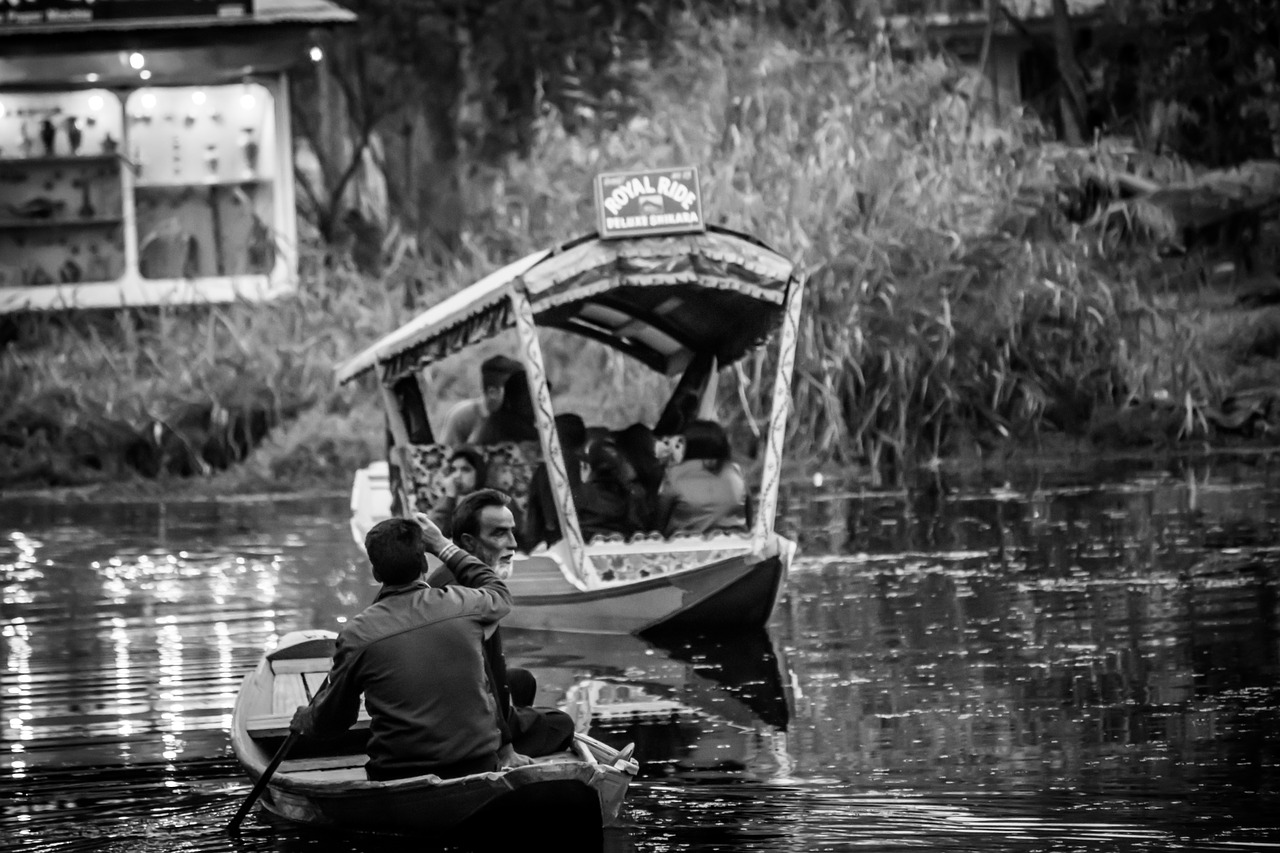 scene, water, dal lake-2915385.jpg